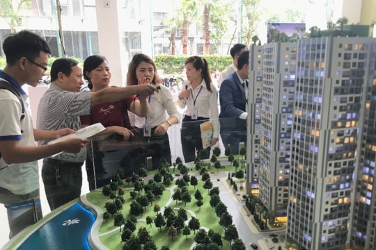 Xu hướng mua bất động sản hiện hữu của người dân Thành phố  Vinh ngày càng tăng cao