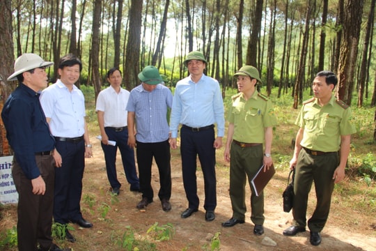 Cần tăng cường tuần tra, sẵn sàng ứng phó cháy rừng
