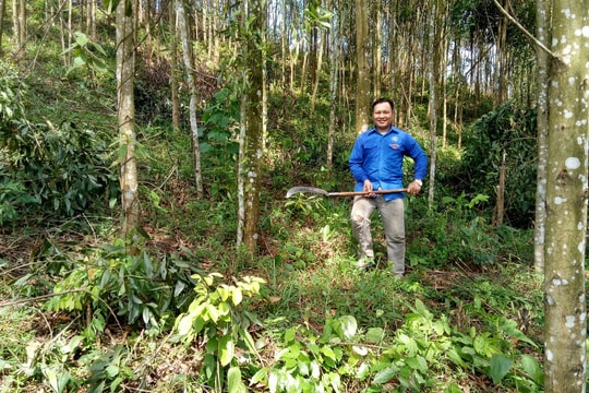 'Trồng thêm một gốc cây, nuôi thêm một con giống để xanh hơn vùng đá đỏ Châu Bình'