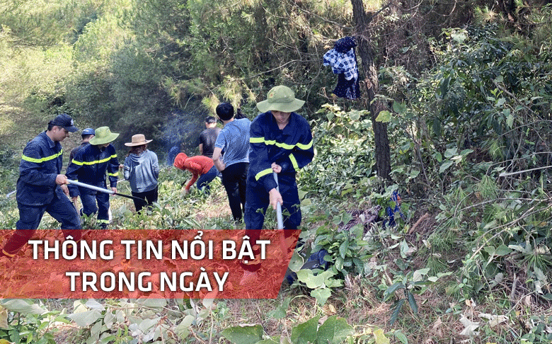 Nghệ An: Thông tin nổi bật ngày 7/6