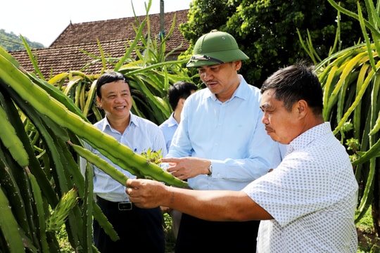 Chủ động chống hạn, phát huy hiệu quả mô hình kinh tế ở Tương Dương