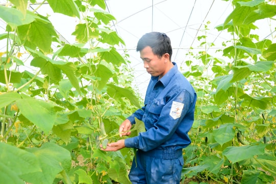 Thường trực HĐND tỉnh Nghệ An đề xuất bãi bỏ các nghị quyết không phát huy hiệu quả