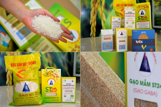 Gạo ST25 - 'Gạo ngon nhất thế giới' lần đầu tiên có mặt tại TP Vinh