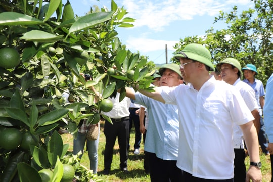 Đưa du lịch, nông nghiệp trở thành mũi nhọn, thế mạnh phát triển kinh tế ở Quỳ Châu 