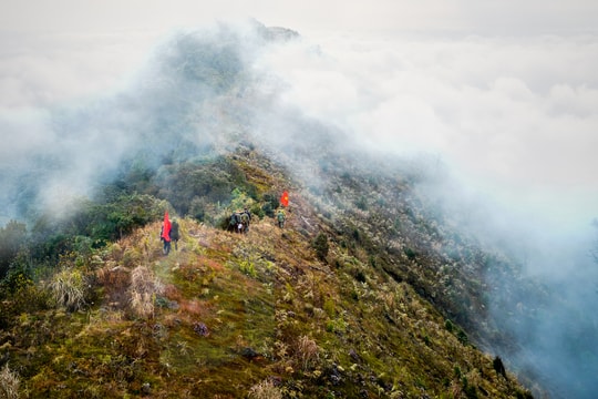 Hành trình chinh phục đỉnh Phà Cà Tủn 2.500m của phóng viên Báo Nghệ An