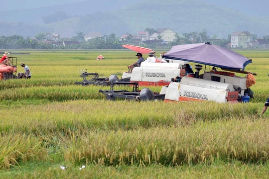 Thay đổi tư duy sản xuất nông nghiệp ở Nghệ An 