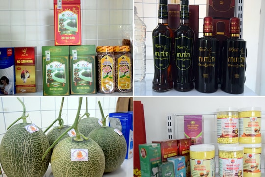 Chi tiết 48 sản phẩm OCOP của Nghệ An đạt 3 sao trở lên