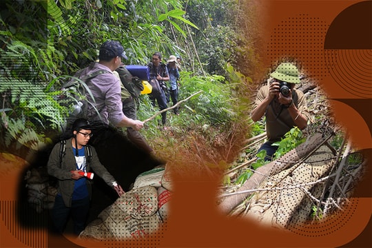 Nghề chọn người để thực hiện sứ mệnh dấn thân