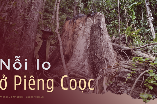 Nỗi lo ở Piêng Coọc