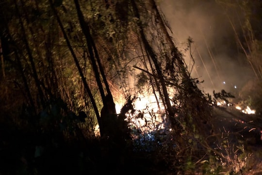 Huy động xe cứu hỏa, lực lượng dập đám cháy rừng cao su, bạch đàn ở Nghệ An 