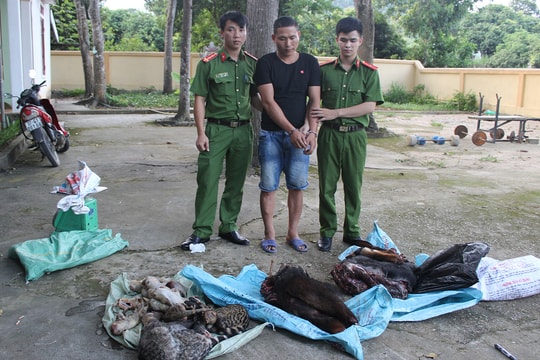 Bắt giữ người đàn ông đi xe máy vận chuyển 70 kg động vật nguy cấp quý hiếm