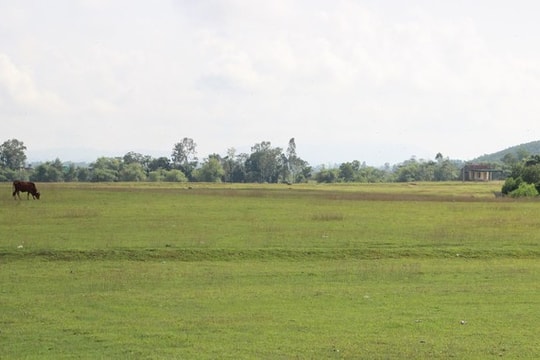 HĐND tỉnh Nghệ An cho ý kiến về chuyển đổi mục đích sử dụng đất thực hiện 505 dự án