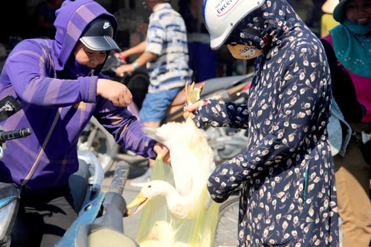 Vịt tăng giá mạnh trong ngày tết Đoan ngọ
