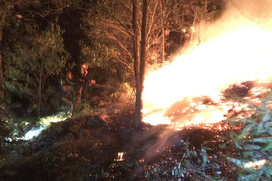 Hàng trăm người chữa cháy rừng trong đêm ở Quỳ Hợp, Thanh Chương