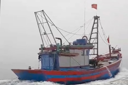 Một thuyền viên Nghệ An rơi xuống biển Vũng Tàu mất tích 