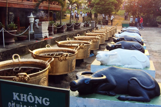 Người Thái Nghệ An và tín ngưỡng về con trâu