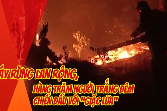 Clip cận cảnh cháy rừng, trắng đêm chiến đấu với 'giặc lửa'