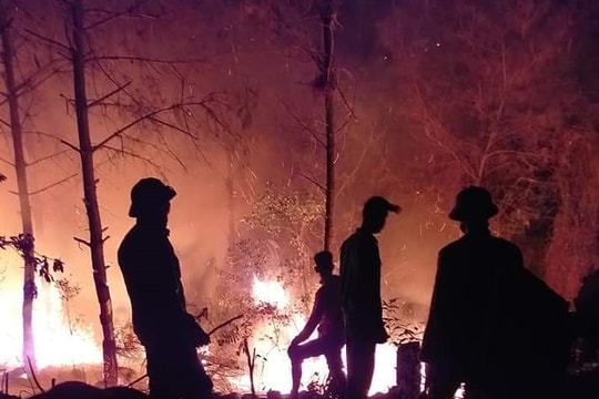 Lửa đỏ rực cả vùng trời, hàng trăm người trắng đêm cứu rừng ở Nghệ An