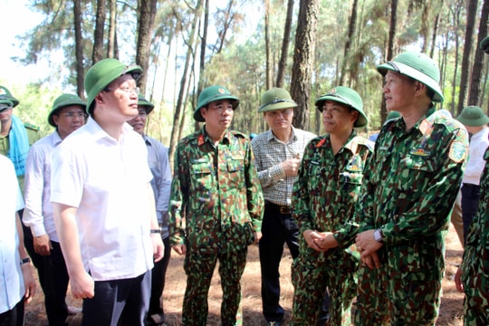 Cháy rừng tại Nghệ An: Lửa đã được dập, Chủ tịch UBND tỉnh chỉ đạo túc trực phòng bùng phát trở lại