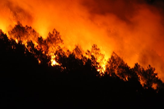 Lửa rừng đang bùng phát dữ dội ở xã Diễn An (Diễn Châu)