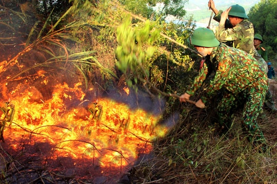 Nghệ An: Lửa rừng lan rộng, hàng nghìn người cõng nước băng đồi dập lửa