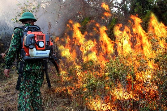 Nghệ An ra công điện khẩn, yêu cầu điều tra, truy tìm thủ phạm gây ra vụ cháy rừng