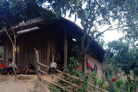 Người đàn ông ở Nghệ An tử vong khi đi lấy mật ong rừng