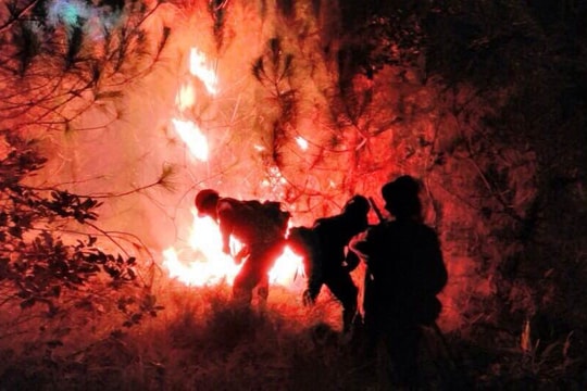 Hơn 1 ha rừng thông bị thiêu rụi sau vụ cháy ở Diễn An