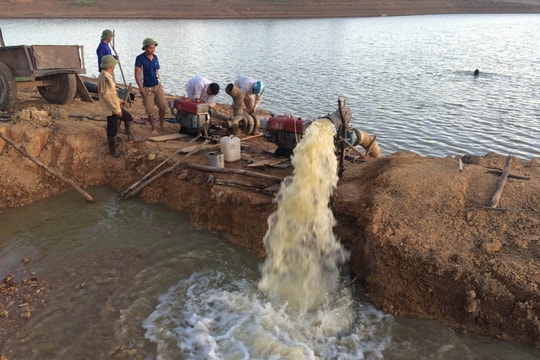 Nghệ An: Tập trung cứu lúa vùng hồ chứa và cuối nguồn trong hạn hán
