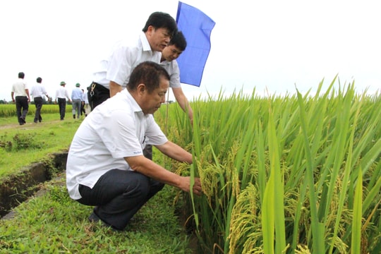 Tổng Công ty CP Vật tư nông nghiệp Nghệ An: Nhà đầu tư chiến lược của nhiều đơn vị 