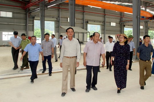 Tập đoàn Thiên Minh Đức đầu tư vào dự án Khu lâm nghiệp ứng dụng công nghệ cao ở Nghi Lộc 