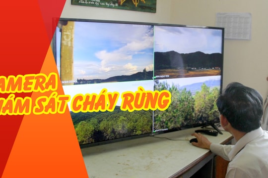 Camera sử dụng pin năng lượng mặt trời để giám sát cháy rừng ở Nghệ An hoạt động như thế nào?