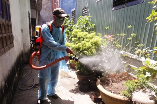 12 tỉnh gồm Nghệ An có số ca mắc sốt xuất huyết cao, Bộ Y tế chỉ đạo tăng cường phòng chống