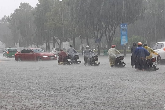  Thành phố Vinh khẩn trương chống ngập úng trước mùa mưa lũ 2020 