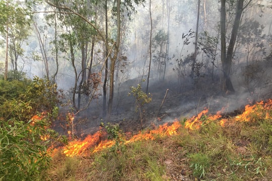 Lửa rừng lại bùng phát tại Diễn Châu (Nghệ An)