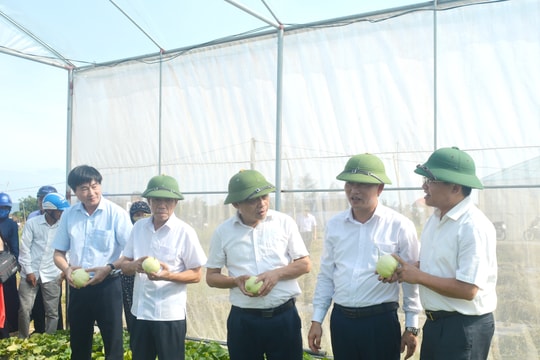 Nghệ An xây dựng 12 mô hình điểm về sản xuất, chế biến nông sản thực phẩm an toàn