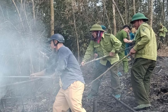 Hàng trăm người dân tham gia cứu rừng keo bị cháy ở Quỳ Châu
