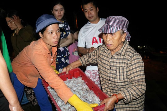 Cả nghìn người chen chân mua bán lúc nửa đêm ở bến cá sầm uất nhất Cửa Lò