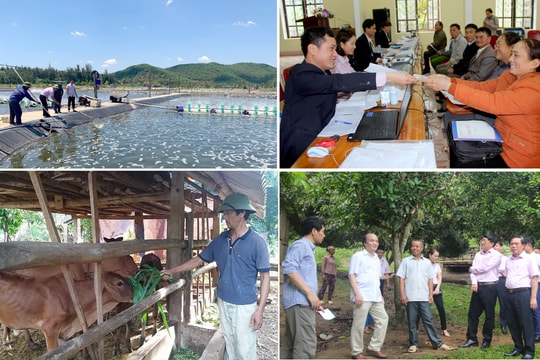 Thực hiện Chỉ thị 40 của Ban Bí thư Trung ương: Nhân lên hiệu quả nguồn vốn chính sách