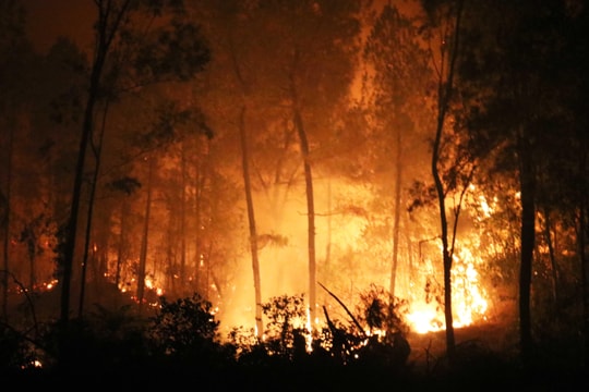 Người đàn ông dùng diêm đốt rừng khiến hàng ngàn người phải đi dập lửa ở Nghệ An