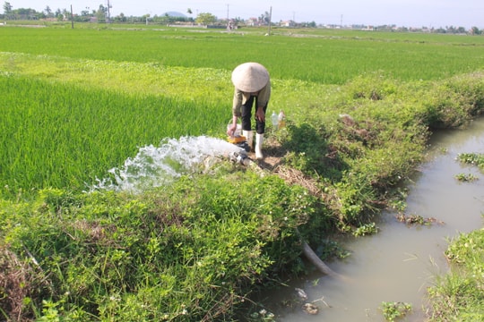 Theo bà ra ruộng bơm nước cho lúa, cháu bé 6 tuổi đuối nước thương tâm