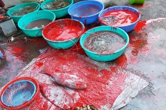 Tạm giữ 4 đối tượng tạt sơn vào hàng hải sản của người phụ nữ đang bày bán ở chợ