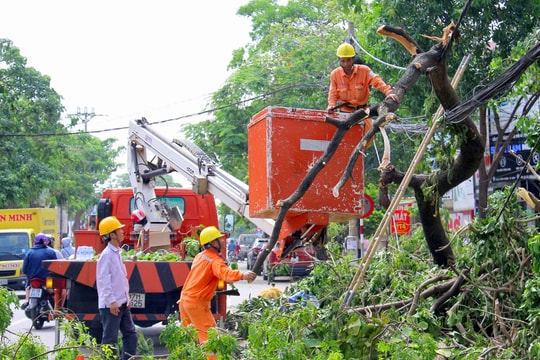 Cử tri mong muốn ngành điện chú trọng nâng cấp hạ tầng lưới điện nông thôn
