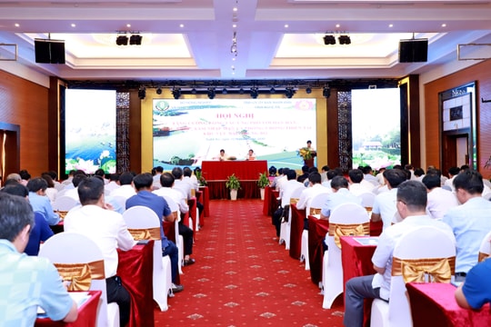 Bộ NN&PTNT tổ chức hội nghị bàn giải pháp phòng chống thiên tai tại khu vực Bắc Trung bộ