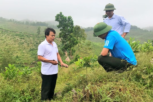 Nghệ An chi trả kịp thời hơn 112,6 tỷ đồng dịch vụ môi trường rừng