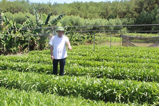 Người tâm huyết với nghề rừng 