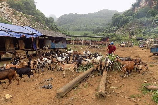 Những người 'nói hay, tay siêng' ở miền Tây Nghệ An
