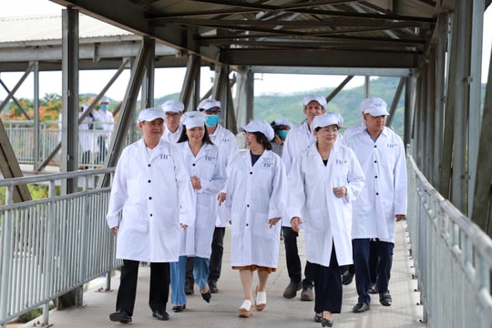 Phó Chủ tịch nước Đặng Thị Ngọc Thịnh thăm, làm việc tại Nghệ An