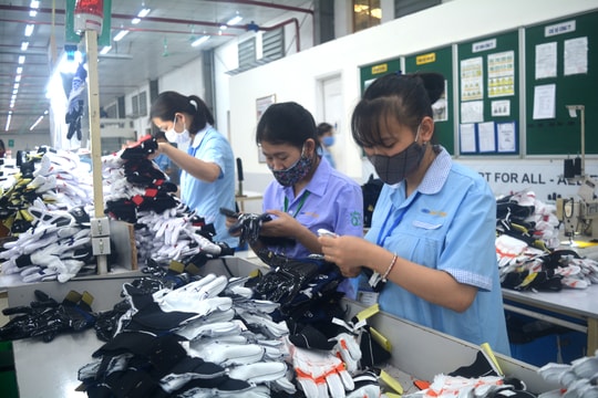 Xây dựng kế hoạch cụ thể thực thi hiệu quả Hiệp định EVFTA