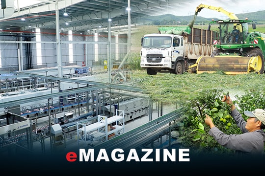 Đưa Nghĩa Đàn vươn tầm 'thủ phủ' nông nghiệp công nghệ cao của Nghệ An